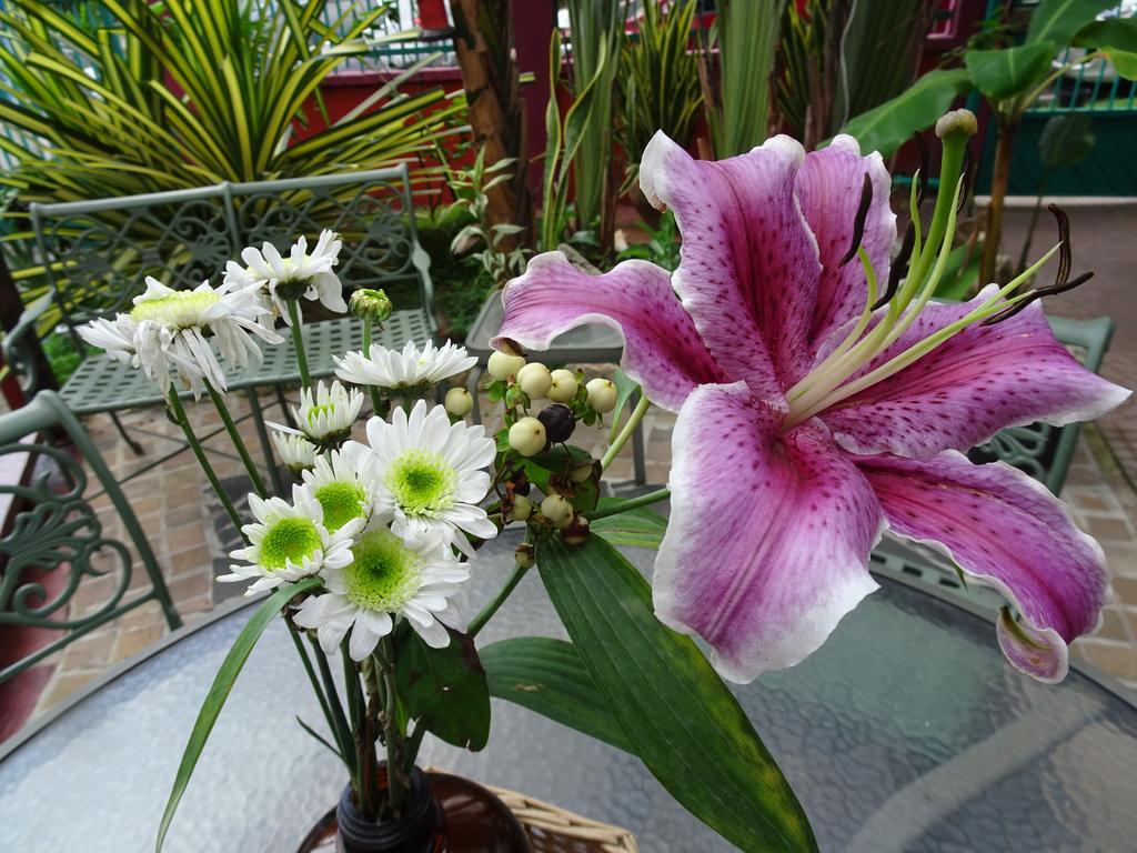 Hostal Posada 1914 Panama City Ngoại thất bức ảnh