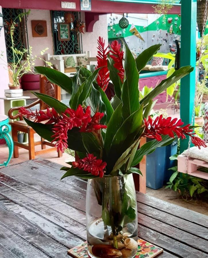 Hostal Posada 1914 Panama City Ngoại thất bức ảnh